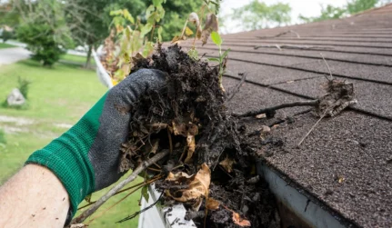 Gutter Cleaning services in Somerset, CA