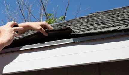 Roof Maintenance services in Somerset, CA